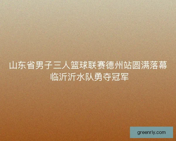 山东省男子三人篮球联赛德州站圆满落幕 临沂沂水队勇夺冠军