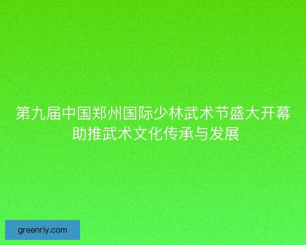 第九届中国郑州国际少林武术节盛大开幕 助推武术文化传承与发展